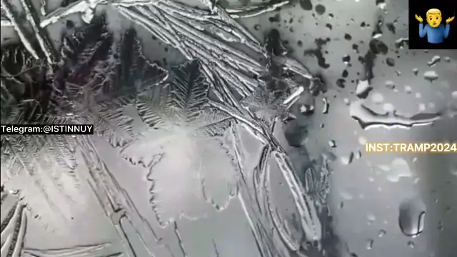 WhatsApp Video 2024-05-20 at 15.35.43